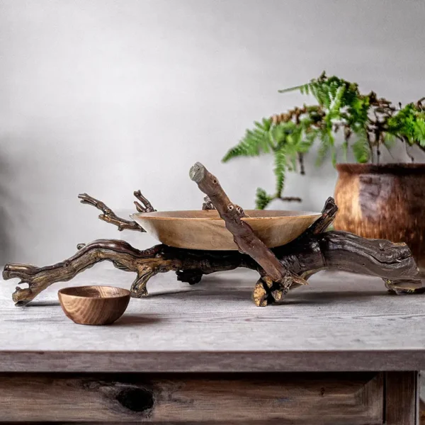 ظرف چوبی دفرمه وودسنس کد WS-Z386