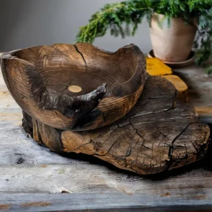 فروشگاه اینترنتی وودسنس 21 ظرف چوبی دفرمه وودسنس کد WS-Z387